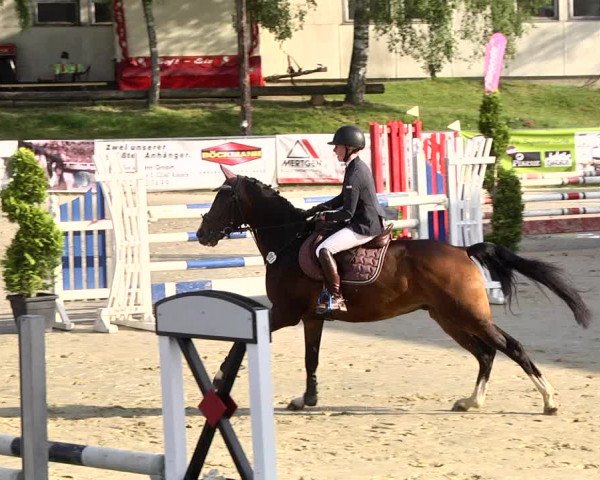 Reitturnier Kurtscheid 2017