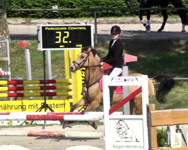 Reitturnier Kurtscheid 2017