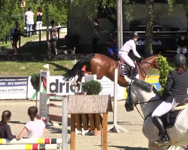 Reitturnier Kurtscheid 2017
