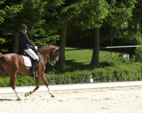 Reitturnier Kurtscheid 2017