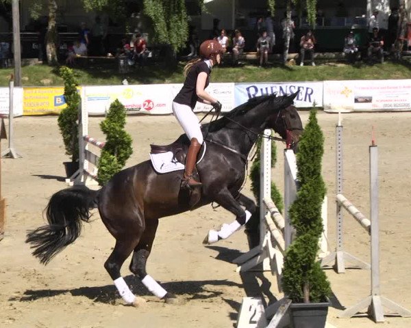 Reitturnier Kurtscheid 2017