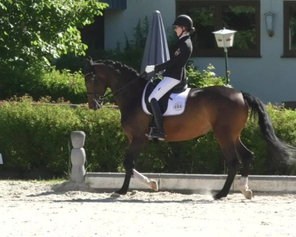 Reitturnier Kurtscheid 2017