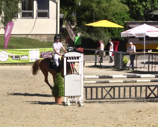 Reitturnier Kurtscheid 2017