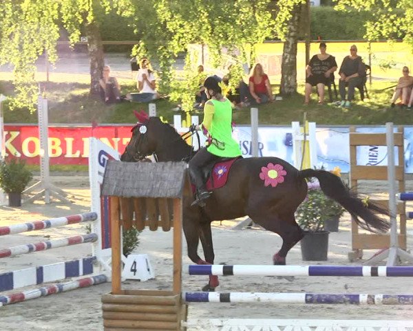 Reitturnier Kurtscheid 2017