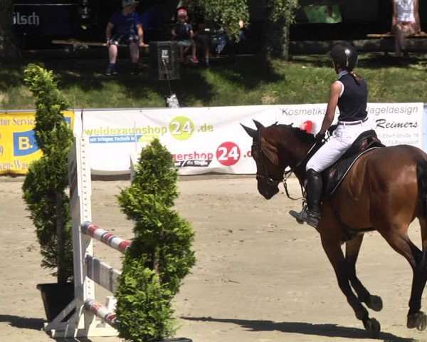 Reitturnier Kurtscheid 2017