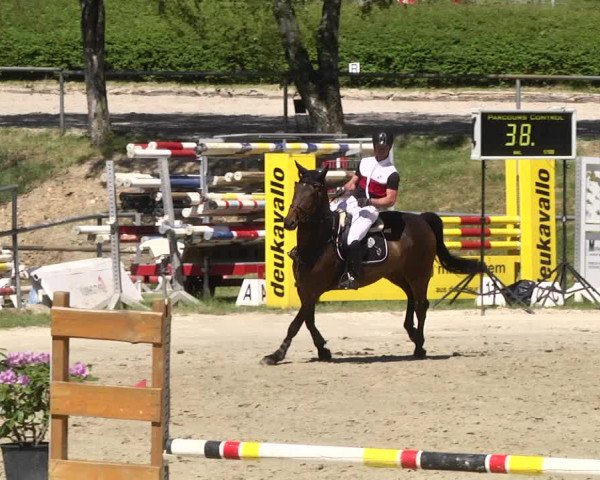 Reitturnier Kurtscheid 2017