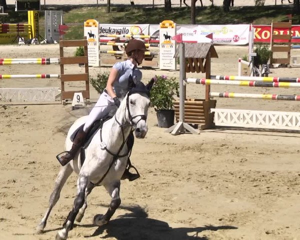 Reitturnier Kurtscheid 2017