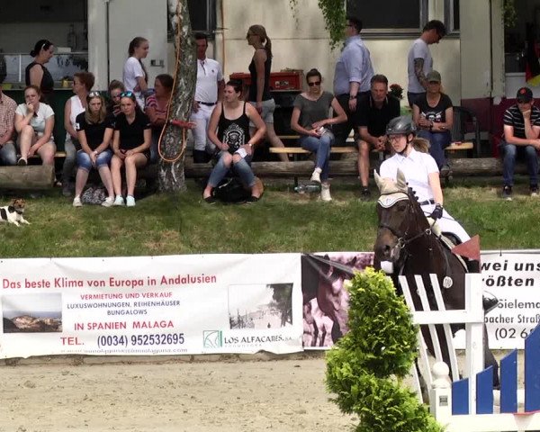 Reitturnier Kurtscheid 2017