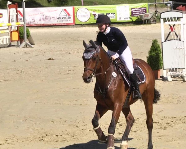 Reitturnier Kurtscheid 2017