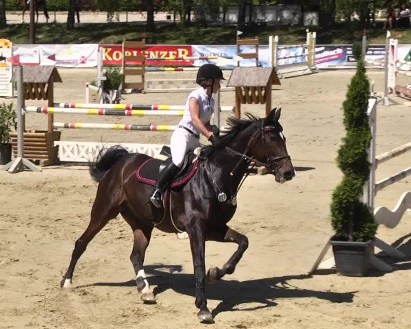 Reitturnier Kurtscheid 2017