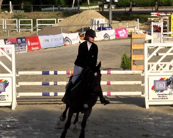 Reitturnier Kurtscheid 2017