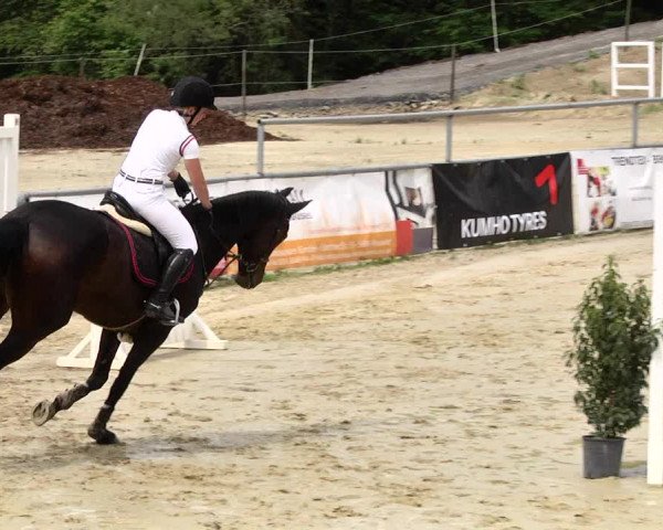 Reitturnier Kurtscheid 2017