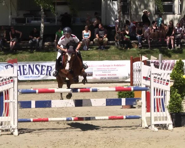 Reitturnier Kurtscheid 2017