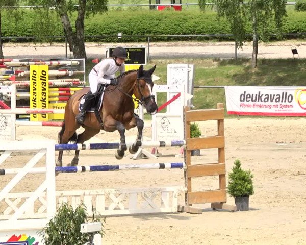 Reitturnier Kurtscheid 2017