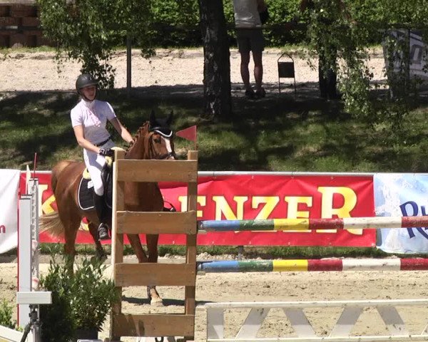 Reitturnier Kurtscheid 2017