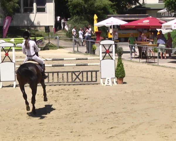 Reitturnier Kurtscheid 2017