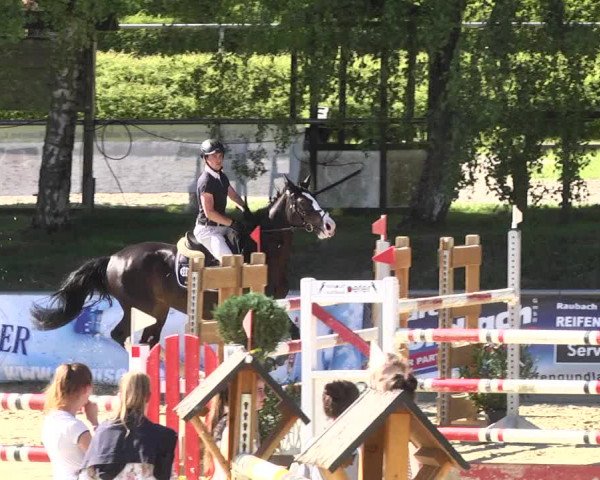 Reitturnier Kurtscheid 2017