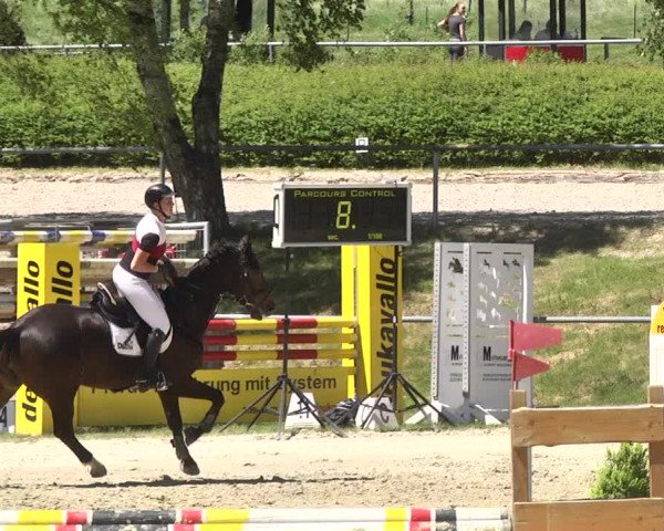 Reitturnier Kurtscheid 2017