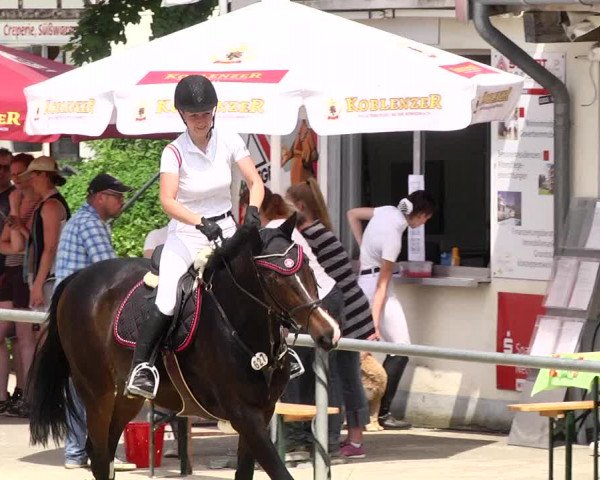 Reitturnier Kurtscheid 2017