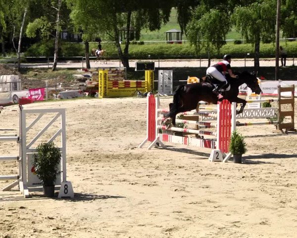 Reitturnier Kurtscheid 2017