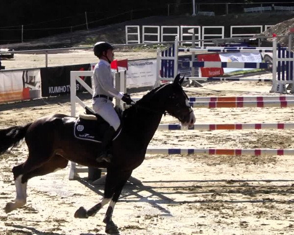 Reitturnier Kurtscheid 2017