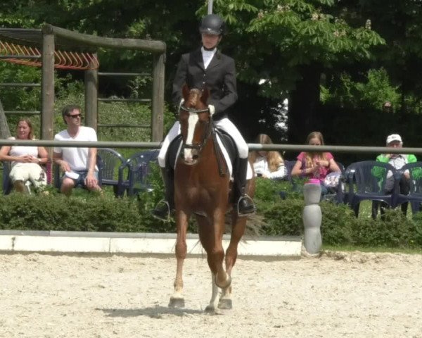 Reitturnier Kurtscheid 2017