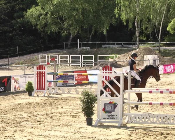 Reitturnier Kurtscheid 2017