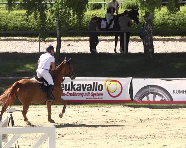 Reitturnier Kurtscheid 2017
