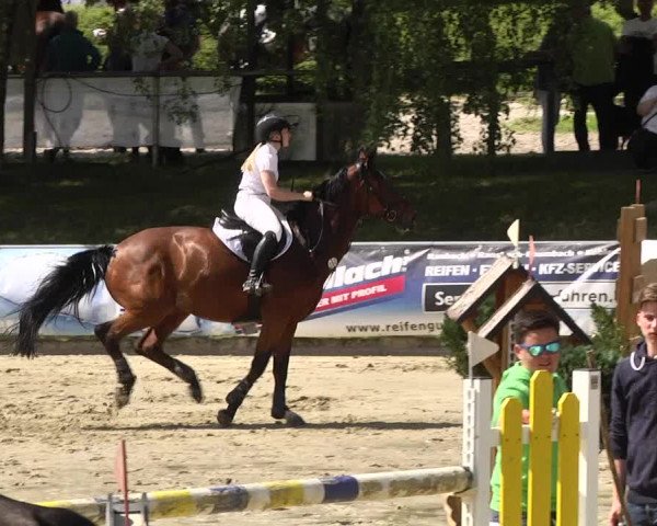 Reitturnier Kurtscheid 2017