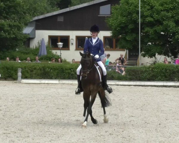 Reitturnier Kurtscheid 2017