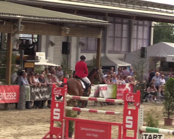 Reitturnier Hellefeld 2017