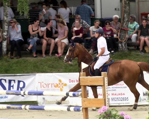 Reitturnier Kurtscheid 2017