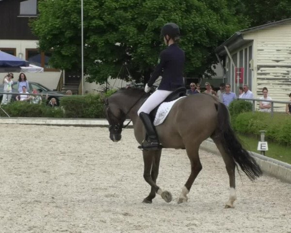 Reitturnier Kurtscheid 2017