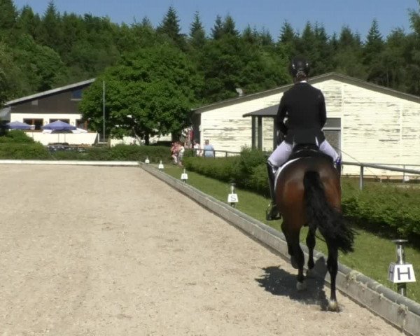 Reitturnier Kurtscheid 2017