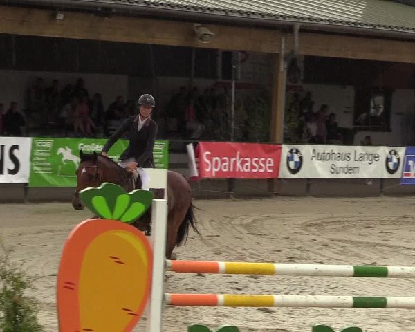 Reitturnier Hellefeld 2017