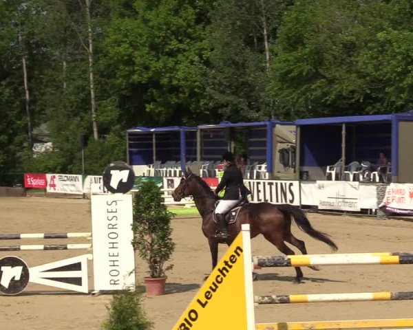 Reitturnier Hellefeld 2017