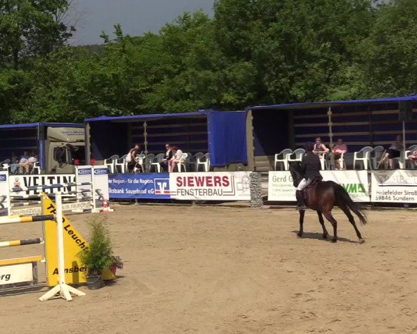 Reitturnier Hellefeld 2017