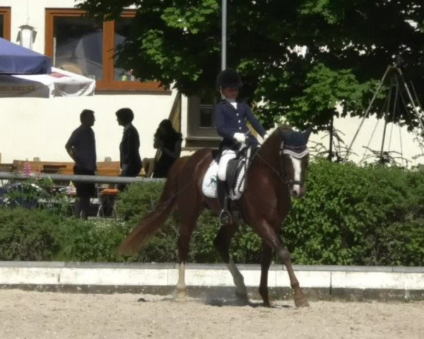 Reitturnier Kurtscheid 2017