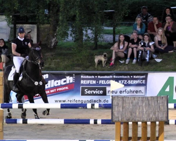 Reitturnier Kurtscheid 2017
