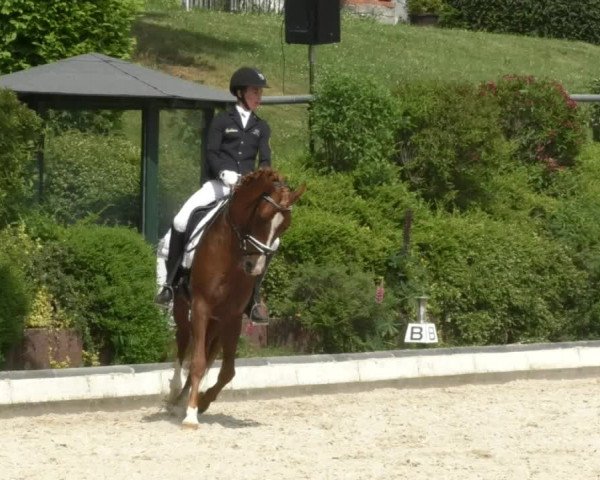 Reitturnier Kurtscheid 2017