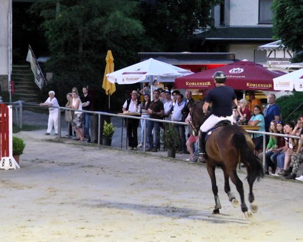 Reitturnier Kurtscheid 2017