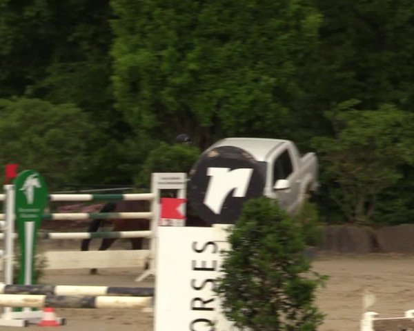 Reitturnier Hellefeld 2017