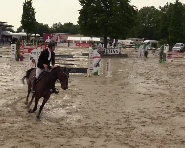 Reitturnier Hellefeld 2017