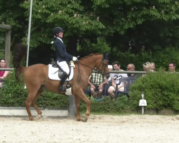 Reitturnier Kurtscheid 2017