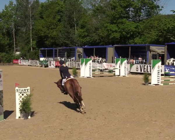 Reitturnier Hellefeld 2017