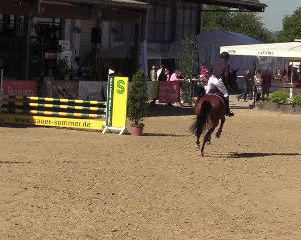 Reitturnier Hellefeld 2017