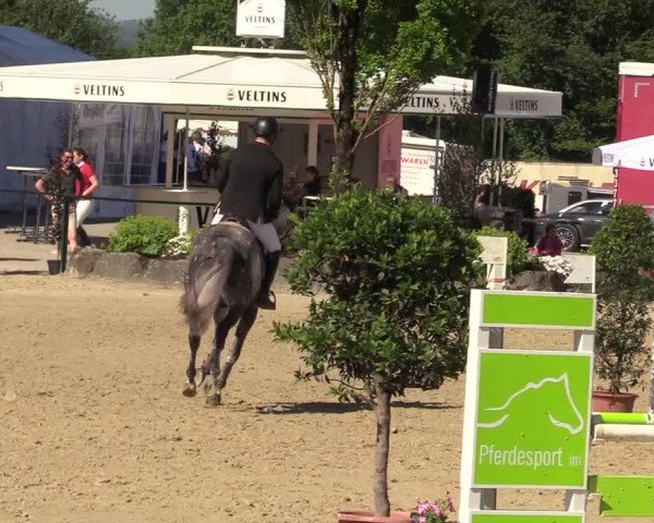 Reitturnier Hellefeld 2017