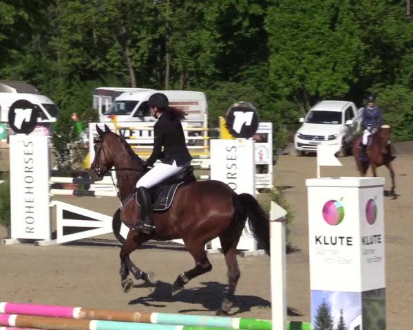 Reitturnier Hellefeld 2017