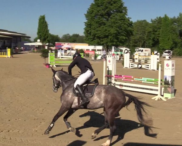 Reitturnier Hellefeld 2017