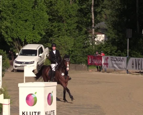 Reitturnier Hellefeld 2017